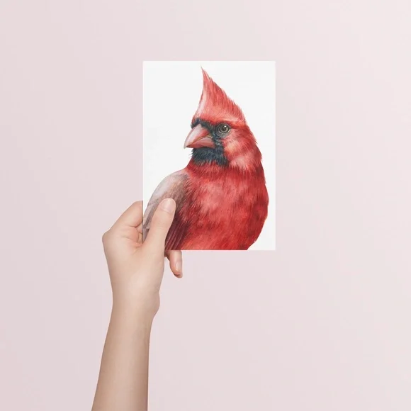 Cardinal Bird Watercolor Wall Art Print Poster Illustration Unframed - Picture 7 of 8